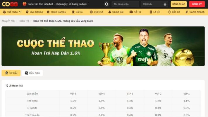 Chi tiết các chương trình khuyến mãi hoàn trả tại CO88